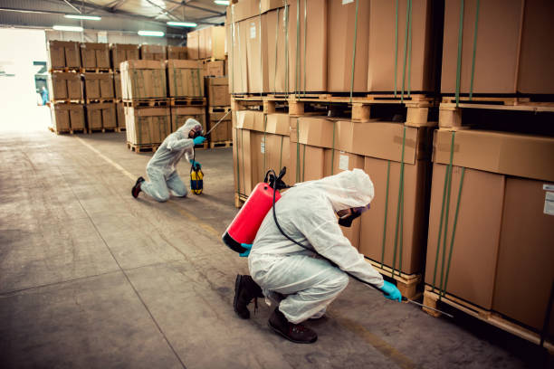 Professional Pest Control in Dover Plains, NY