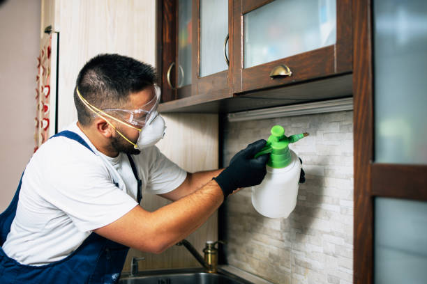 Best Exterminator Services  in Dover Plains, NY