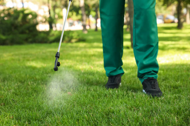 Best Insect Control  in Dover Plains, NY