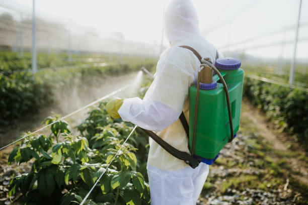 Best Insect Control  in Dover Plains, NY